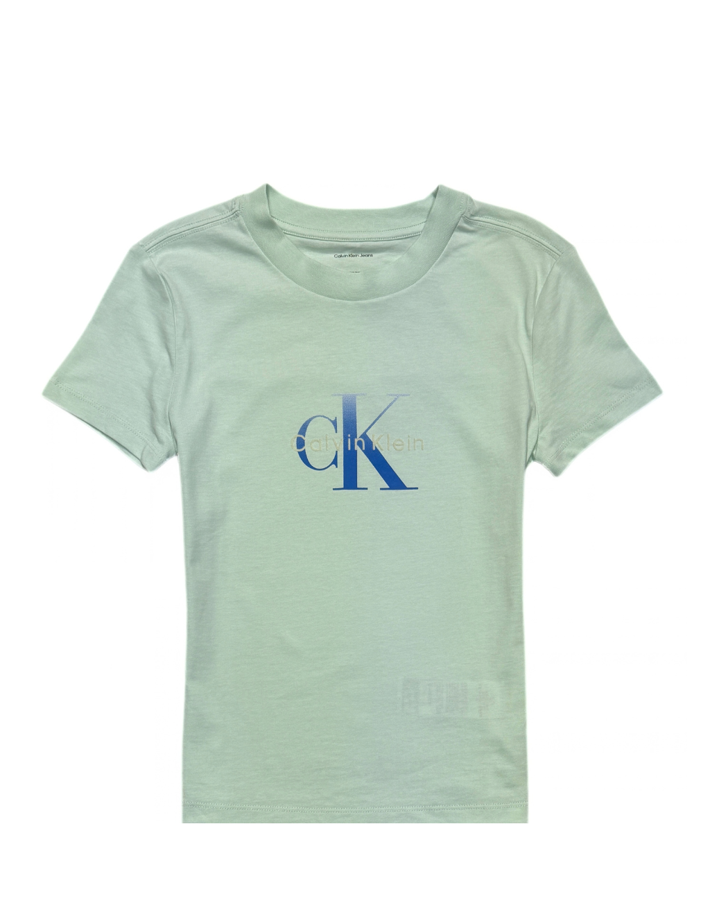 Women's Calvin Klein Short Sleeve T-Shirt (Mint Green/Royal Blue)