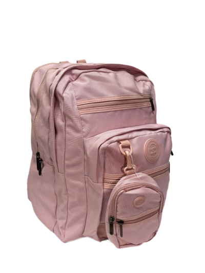 Lucky Brand Laptop Backpack & Mini Backpack (Light Pink)